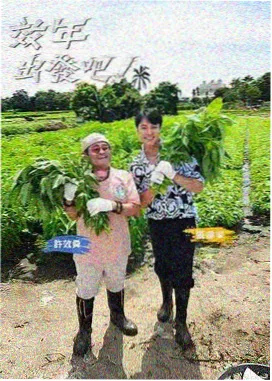 秒开 快速阅读器
